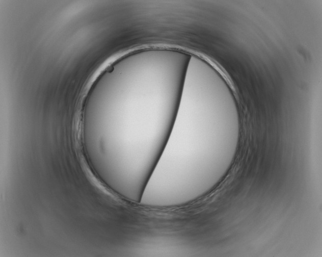 X0000114720911200910211049