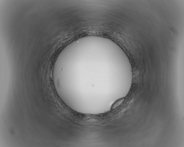 X0000114720913200910211048
