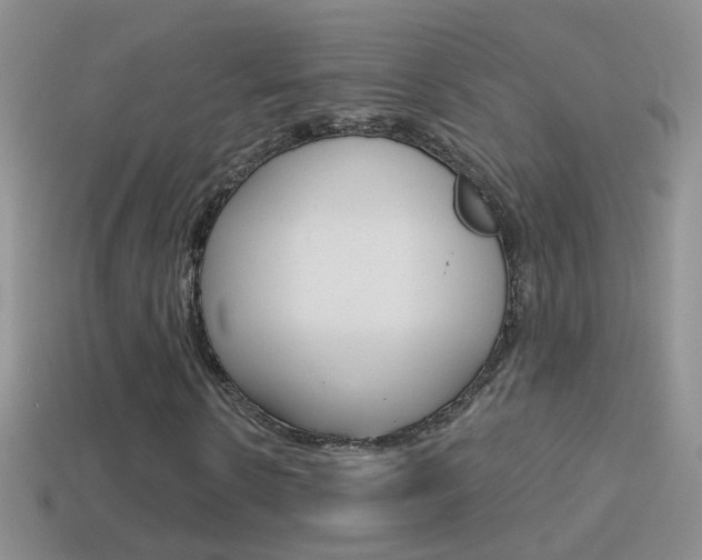 X0000114720914200910211048