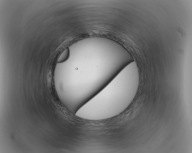 X0000114720915200910211048