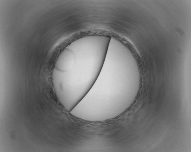 X0000114720919200910211048