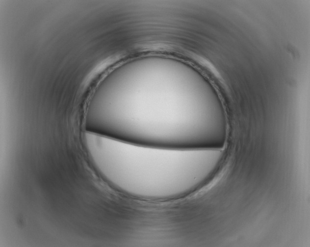 X0000114720922200910211048