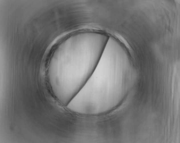 X0000114720923200910211048
