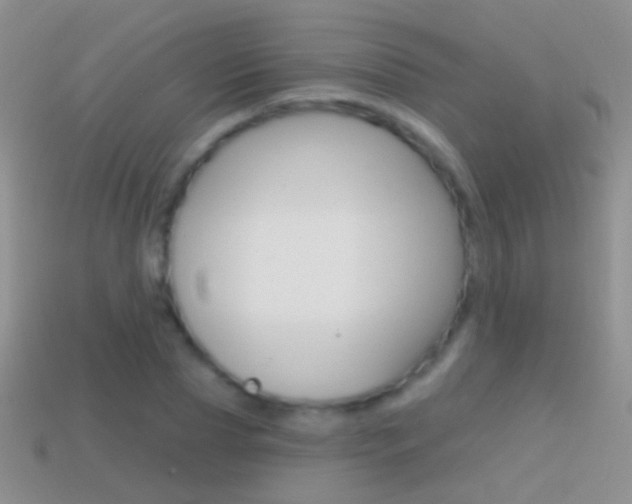 X0000114720929200910211048