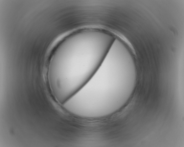 X0000114720935200910211048