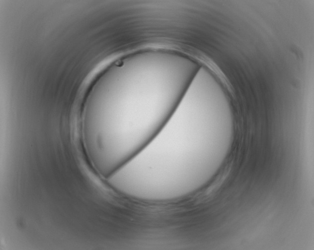 X0000114720939200910211048