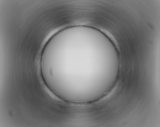 X0000114720941200910211048