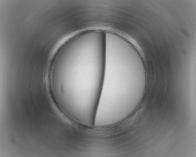 X0000114720943200910211048