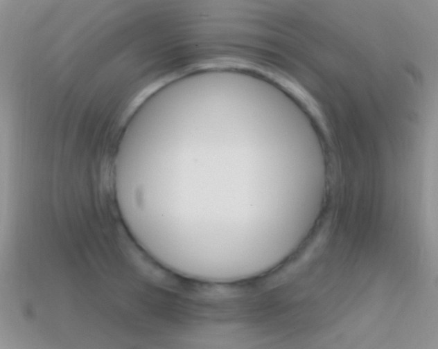 X0000114720945200910211048