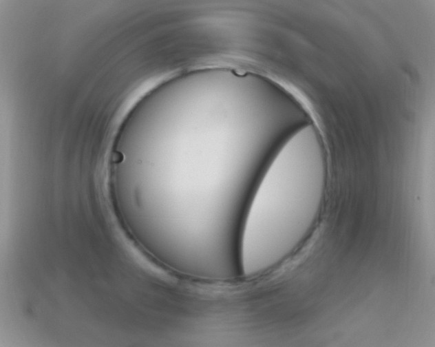 X0000114720949200910211049
