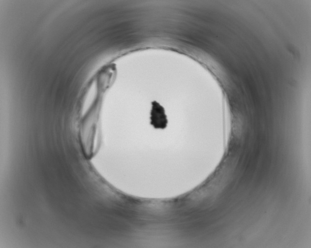 X0000114720950200910211049