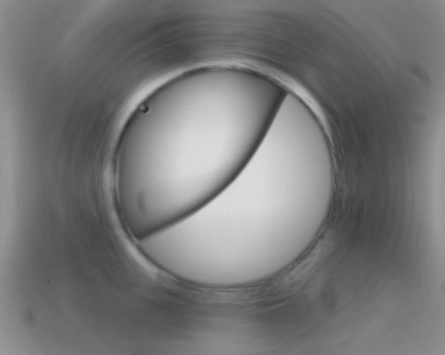 X0000114720951200910211049