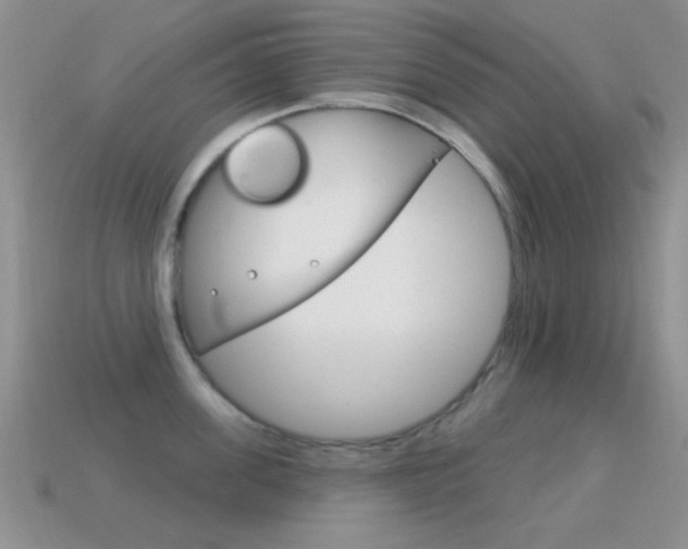 X0000114720955200910211049