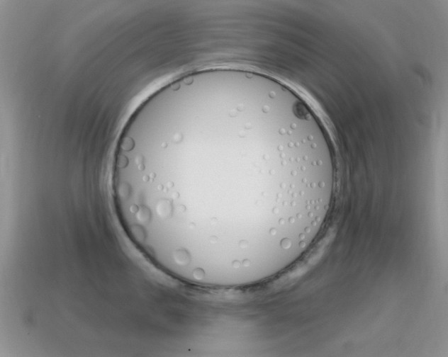 X0000114720957200910211049