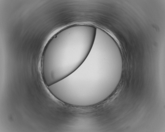 X0000114720959200910211049