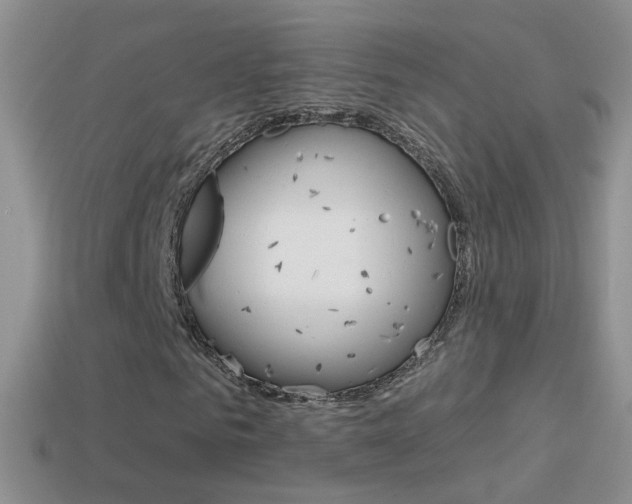 X0000114720961200910211048