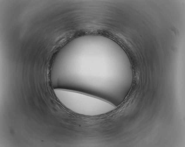 X0000114720964200910211048