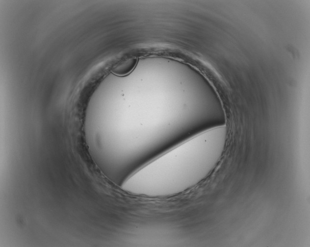X0000114720967200910211048