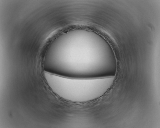 X0000114720968200910211048