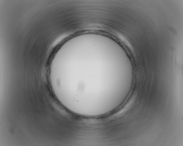 X0000114720970200910211048
