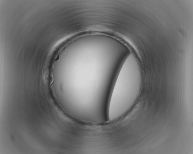 X0000114720971200910211048