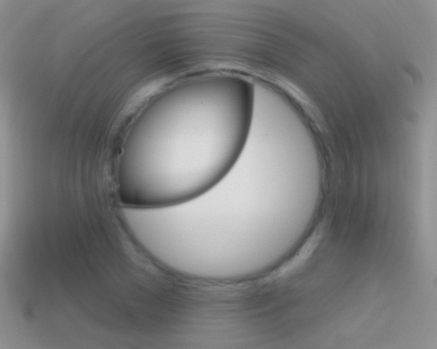 X0000114720977200910211048