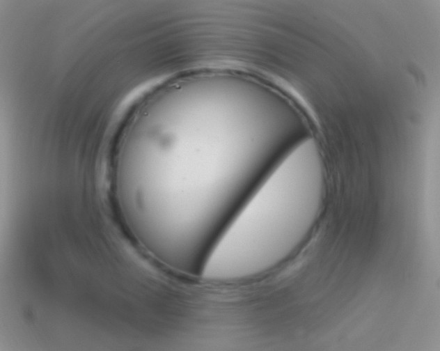 X0000114720979200910211048