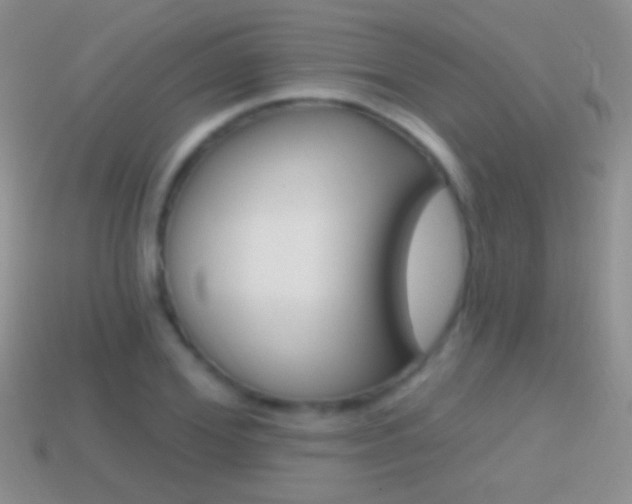 X0000114720980200910211048