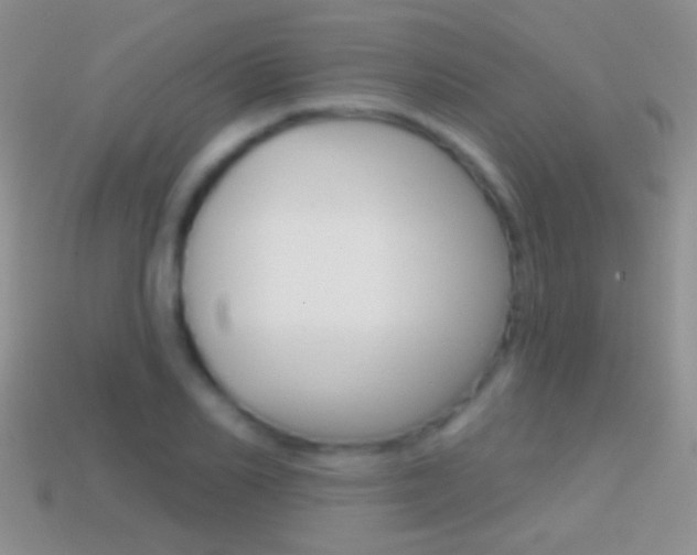 X0000114720982200910211048
