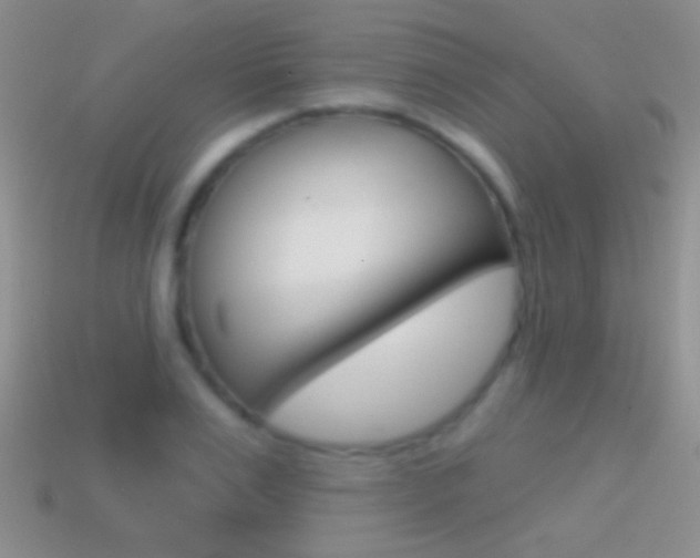 X0000114720983200910211048