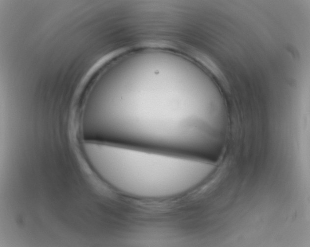 X0000114720984200910211048