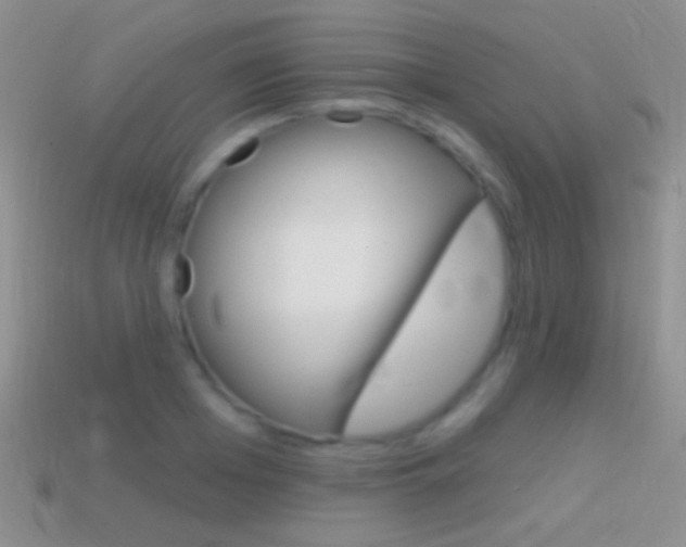 X0000114720985200910211048