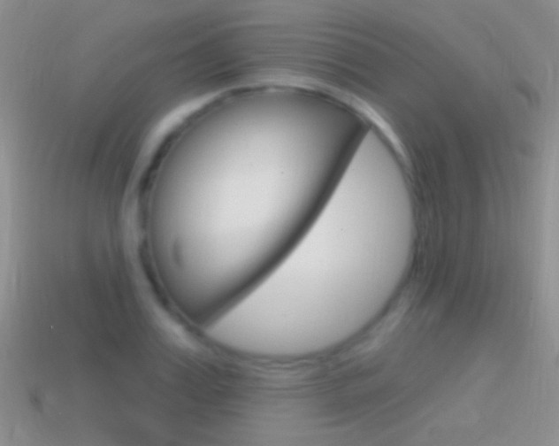 X0000114720987200910211048