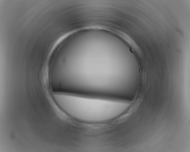 X0000114720988200910211048