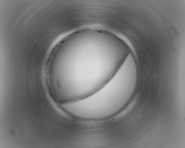 X0000114720989200910211048