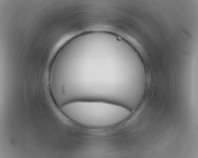 X0000114720990200910211048
