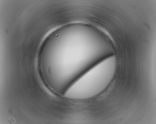 X0000114720991200910211048