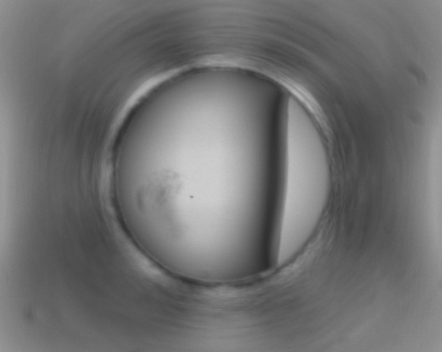 X0000114720992200910211048