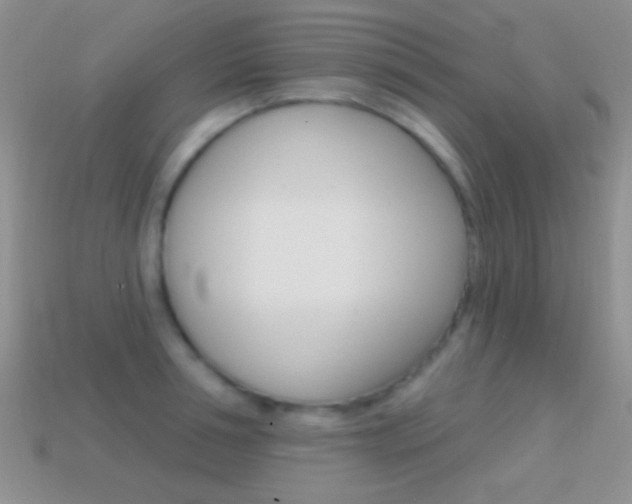 X0000114720994200910211048