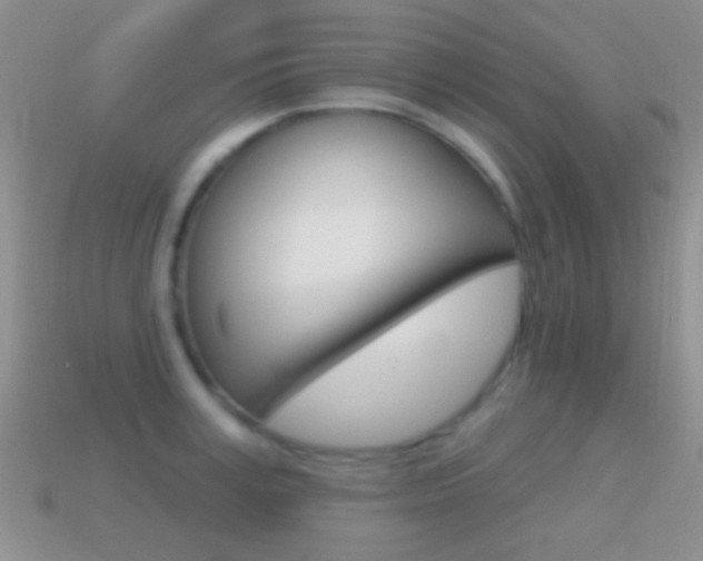 X0000114720995200910211048
