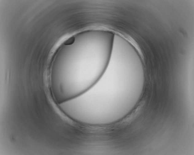 X0000114720997200910211048