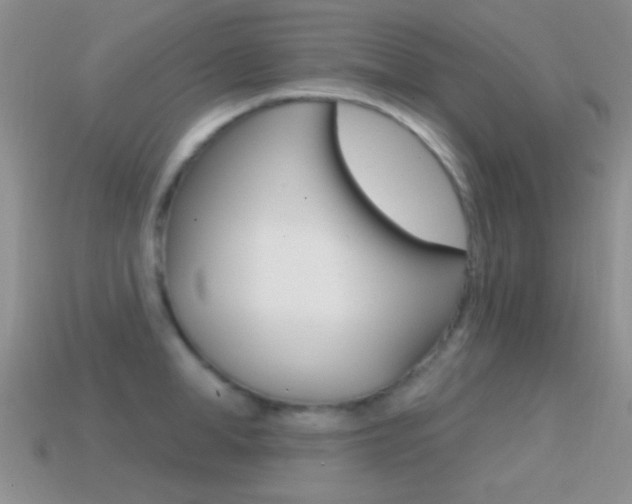 X0000114720998200910211048