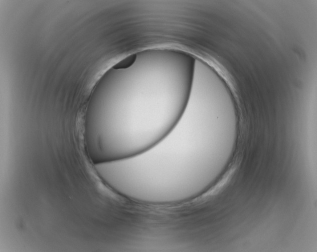 X0000114721001200910211048