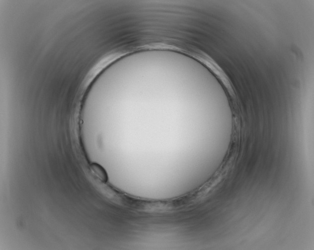 X0000114721002200910211048