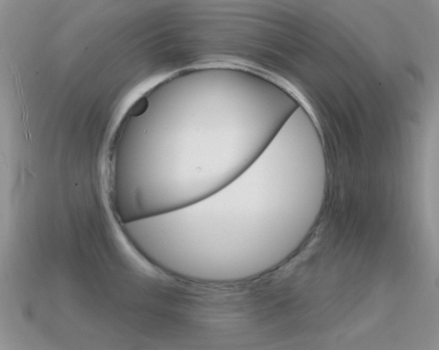 X0000114721003200910211048