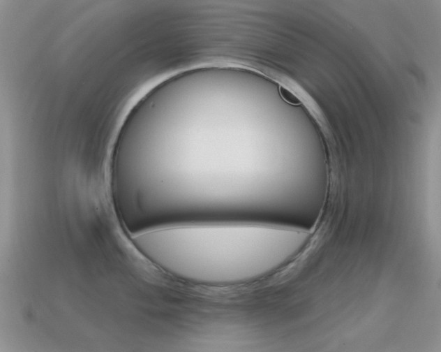 X0000114721004200910211048