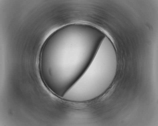 X0000114721007200910211047