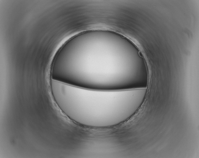 X0000114721008200910211047