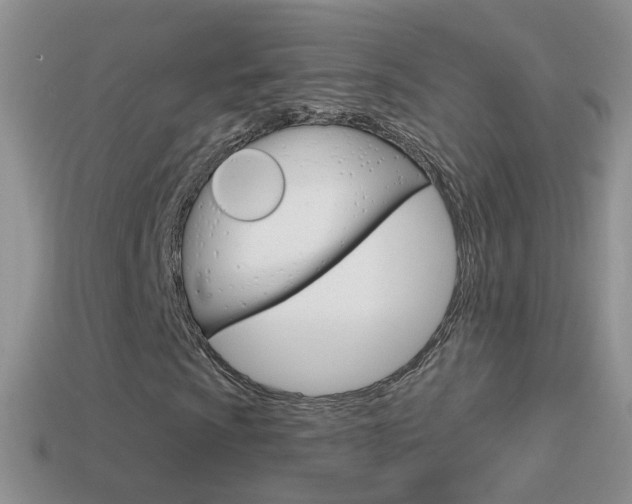 X0000114721009200910211047