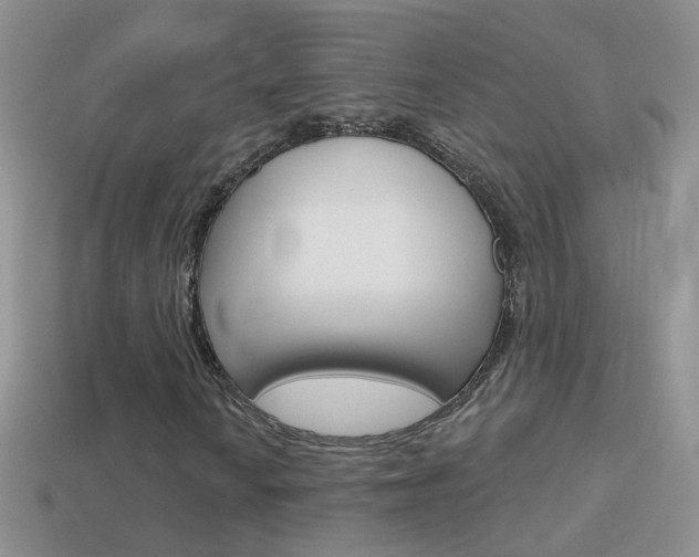 X0000114721010200910211047